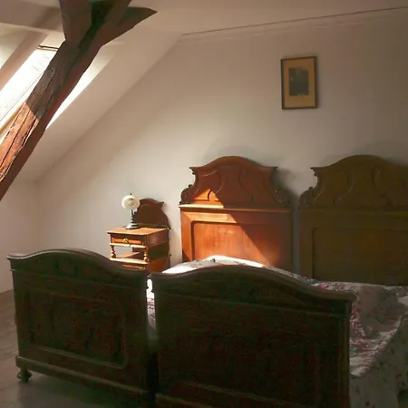 Ve Mlejne Hotel